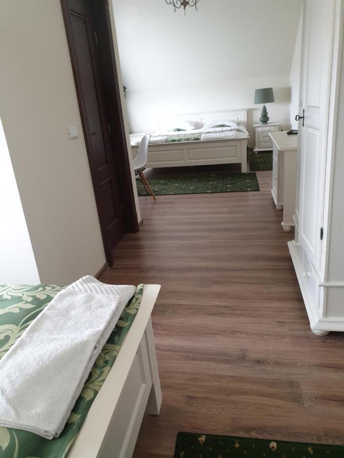 Pensiunea Gradina Verde Becicherecu Mic 外观 照片